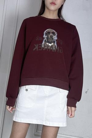 <div class="text-center"><a class="btn btn-primary" href="/GalleryImages/d6cd4b5b-017c-4ffd-b2d8-4adc79738f02.jpeg" target="_blank" style="margin:"  >Download Image</a></div>